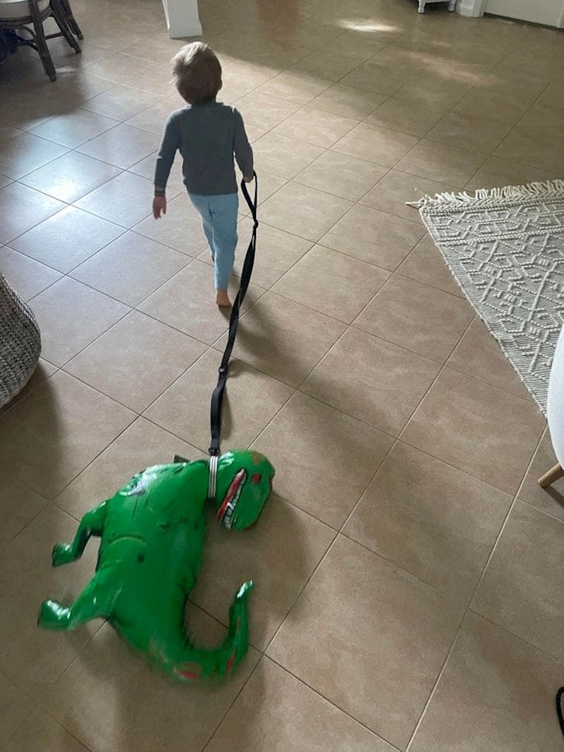 Ako pas mora nekoliko puta dnevno u šetnju, zašto bi bilo drugačije kada je dinosaur u pitanju?