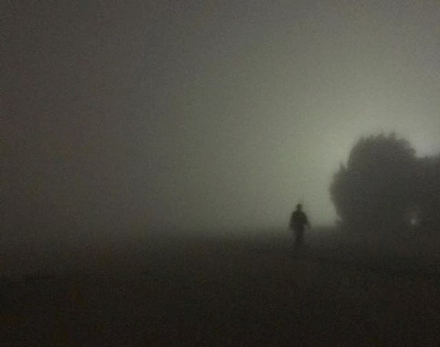 14. Fotkano jedno jutro na putu do posla. Jezivo