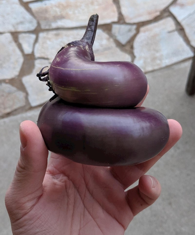 Patlidžan koji izgleda kao 💩