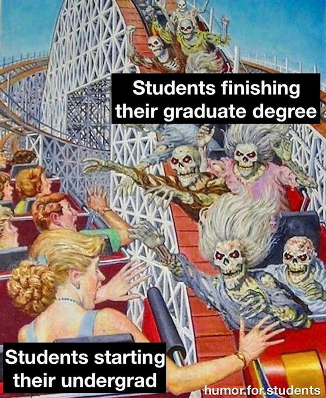 🤣