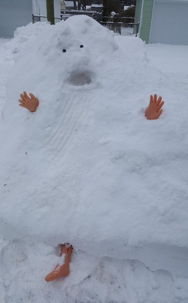 "Ralice su čistile ceste pa smo namjestili ovaj prizor u odbačeni snijeg da nasmijemo prolaznike"