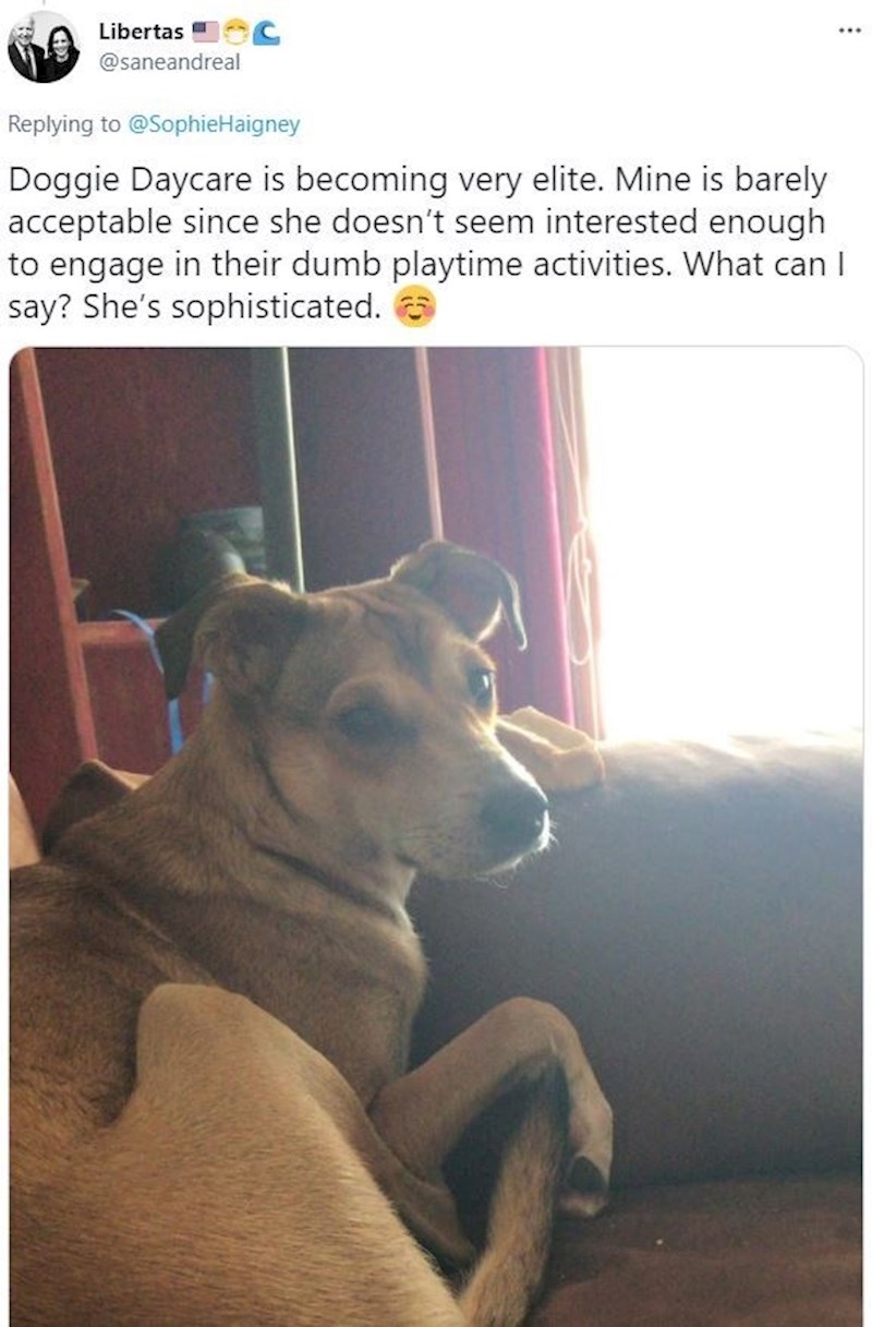 Nije htjela sudjelovati u aktivnostima jer je preotmjena za te gluposti