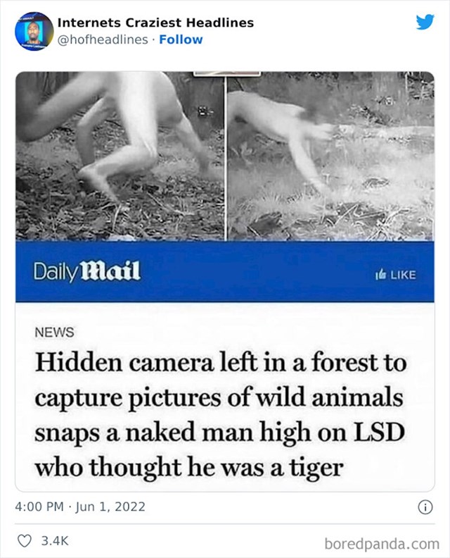 Skrivena kamera postavljena da snima divlje životinje uhvatila golog tipa na LSD-u koji je umislio da je tigar