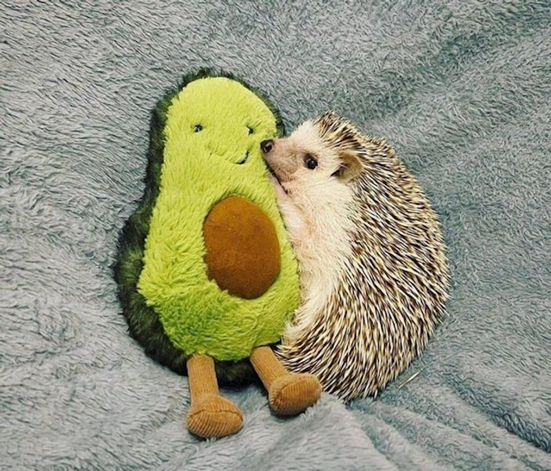 Malo mu za sreću treba!