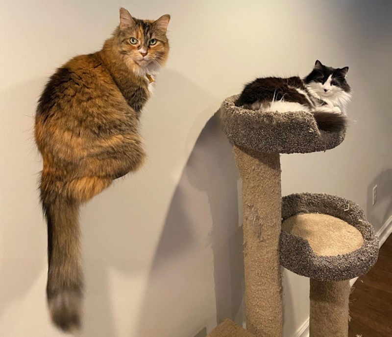 Ovo su već neke više sile