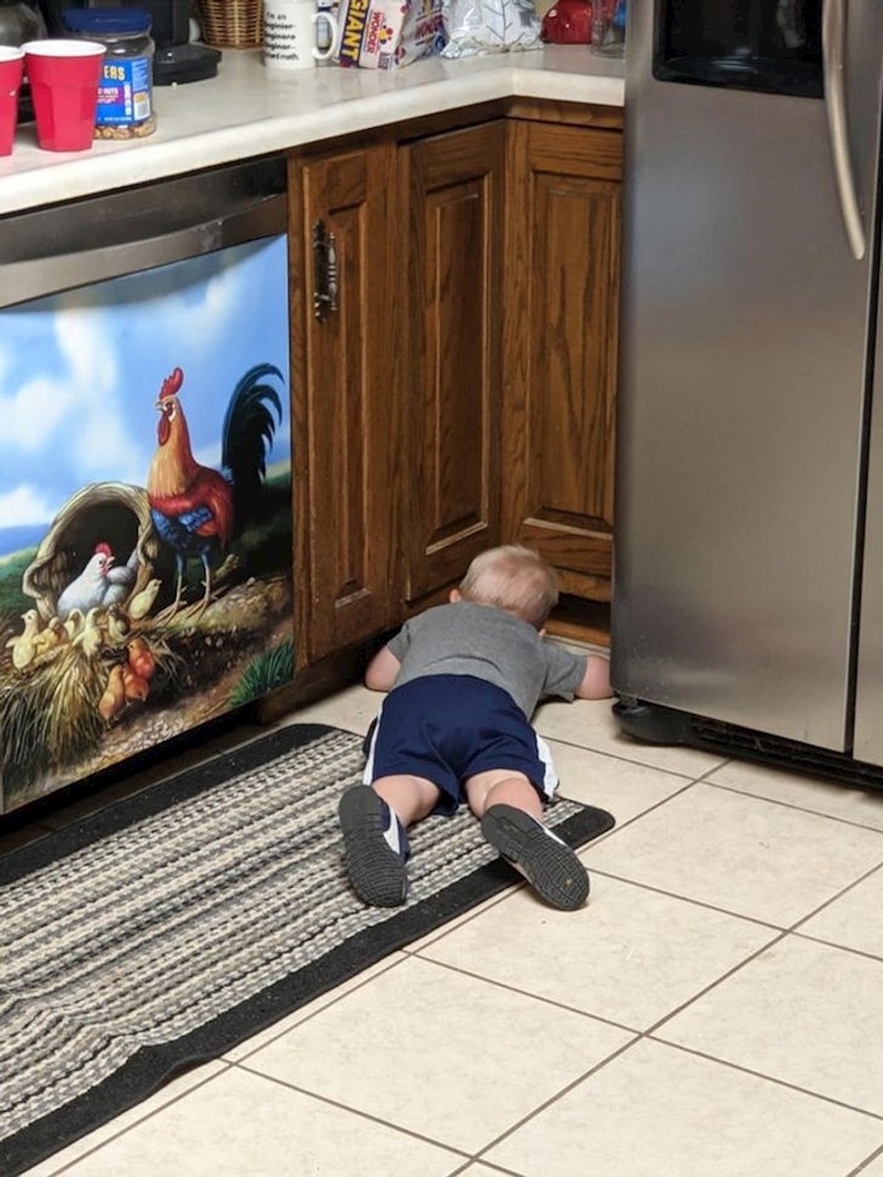 Nekoliko fotki iz serije "Igramo se skrivača":