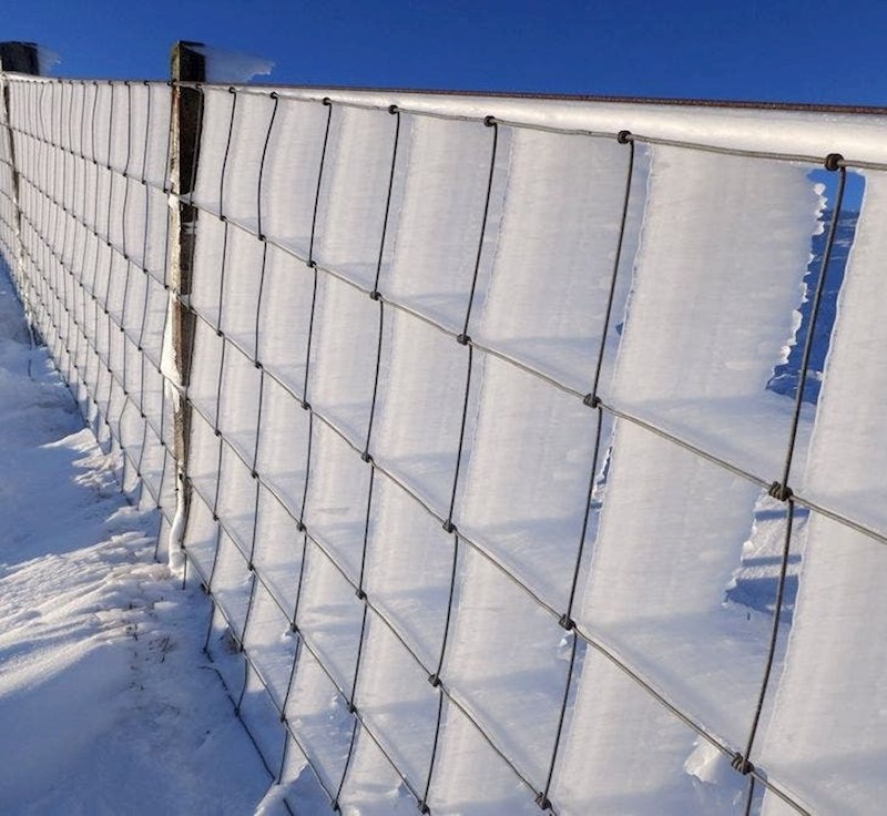 Snijeg u kombinaciji s niskim temperaturama i jakim naletima vjetra