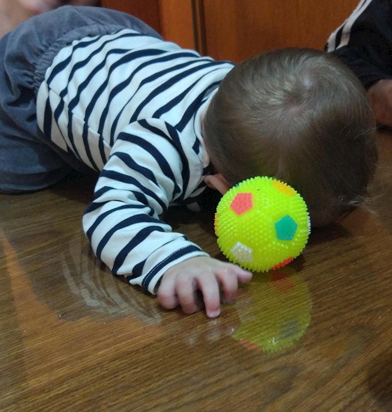 Ako ne zaspe na stolu, neće ni zaspati