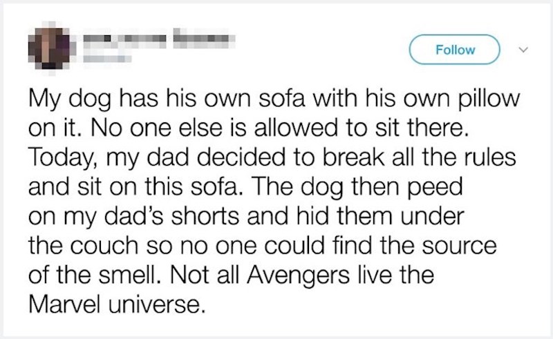 Nema zezanja s ovim psom!