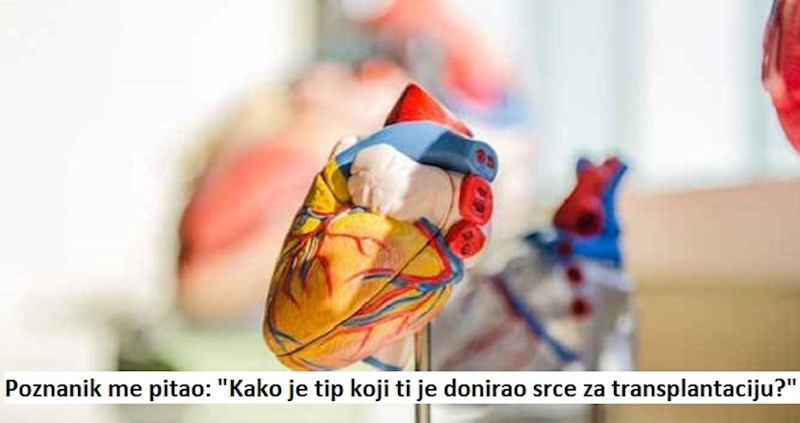 13 ljudi nije moglo vjerovati svojim ušima kada su čuli ove bisere