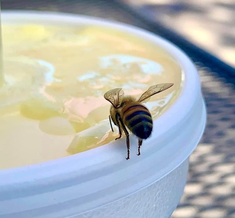 Izgleda kao da stoji na vršcima prstiju dok ispija slasni sok