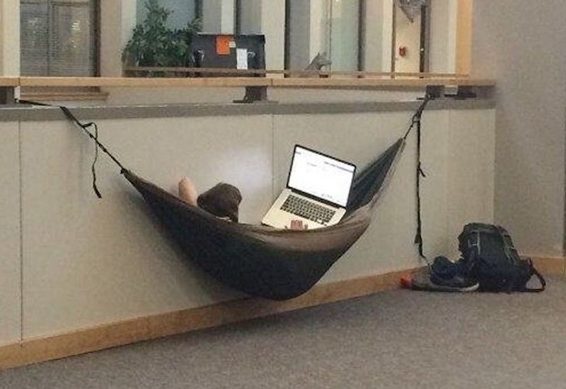 Kada moraš predati seminar do jutra, poneseš opremu za kampiranje u knjižnicu