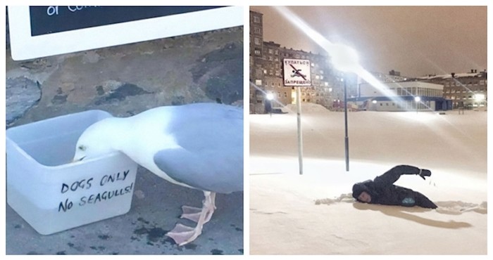 20+ fotki buntovnika koji ne mogu manje mariti za pravila