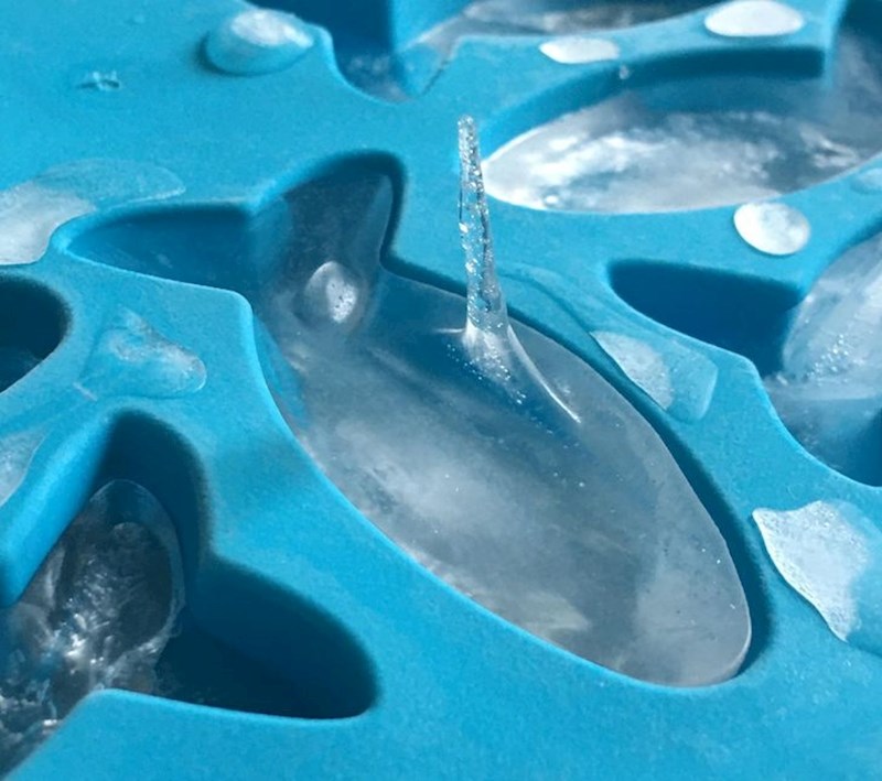 Led u obliku ribice postao je led u obliku morskog psa