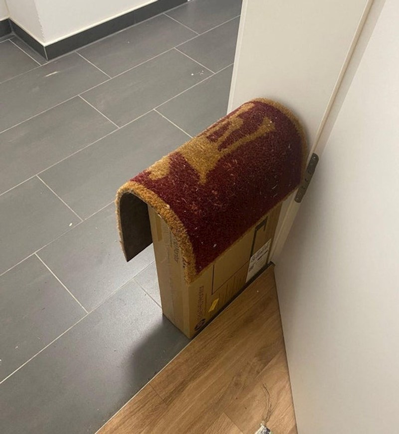 Poštar se dosjetio kako sakriti moj paket. Jedva sam ga našla! 🤣