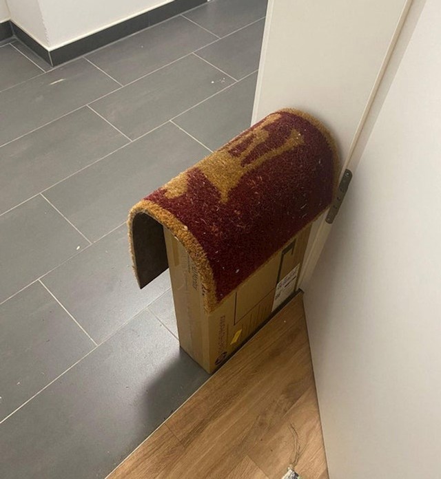 Poštar se dosjetio kako sakriti moj paket. Jedva sam ga našla! 🤣