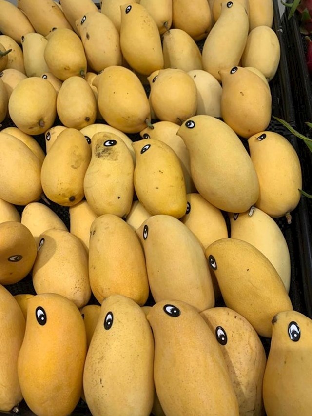Na svaki mango je zalijepljeno oko da izgledaju kao ptičice!