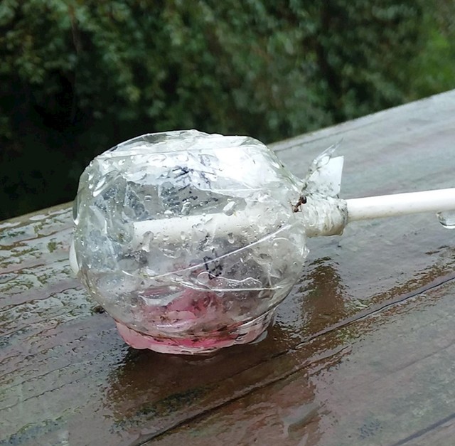 Kiša je otopila boju s omota lizalice