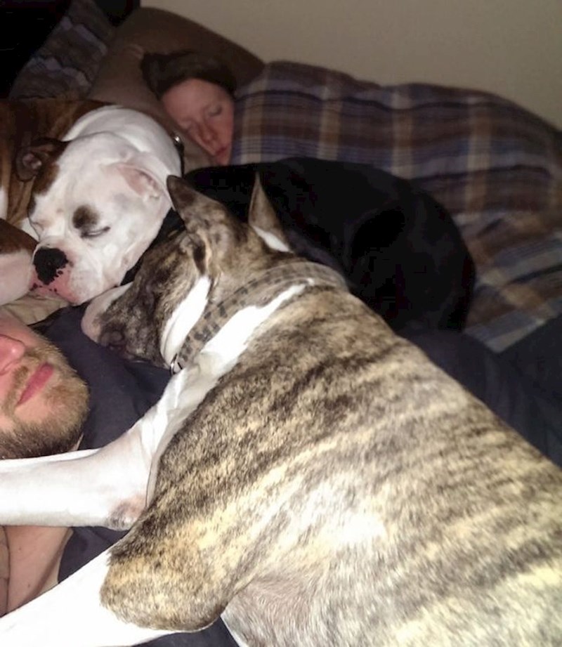 "Nekoliko noći sam spavao na kauču jer sam mislio da sam nenaspavan radi neudobnog kreveta. Bilo mi je sumnjivo kako žena nema problema s tim, a spavamo u istom krevetu. Sinoć sam otkrio razlog"