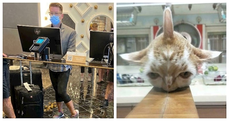 20 puta kada je odsjaj napravio toliku pomutnju na fotkama, da ćete ih trebati pogledati dvaput