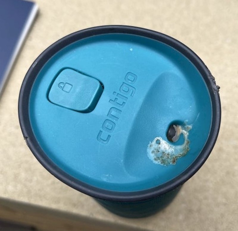 Ptica se pokakila točno na otvor za usta