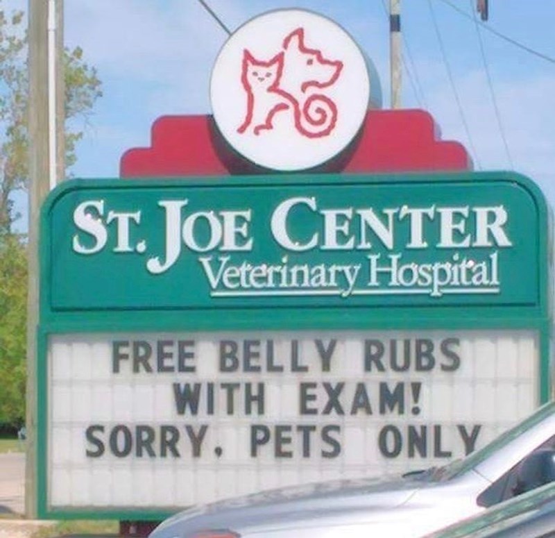 Besplatno maženje droba prilikom pregleda. Ali samo za ljubimce!