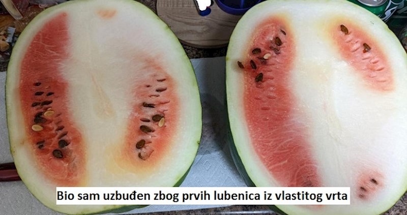 16 ljudi na kojima je svemir odlučio pokazati da ima odličan smisao za humor, ali onaj crni...