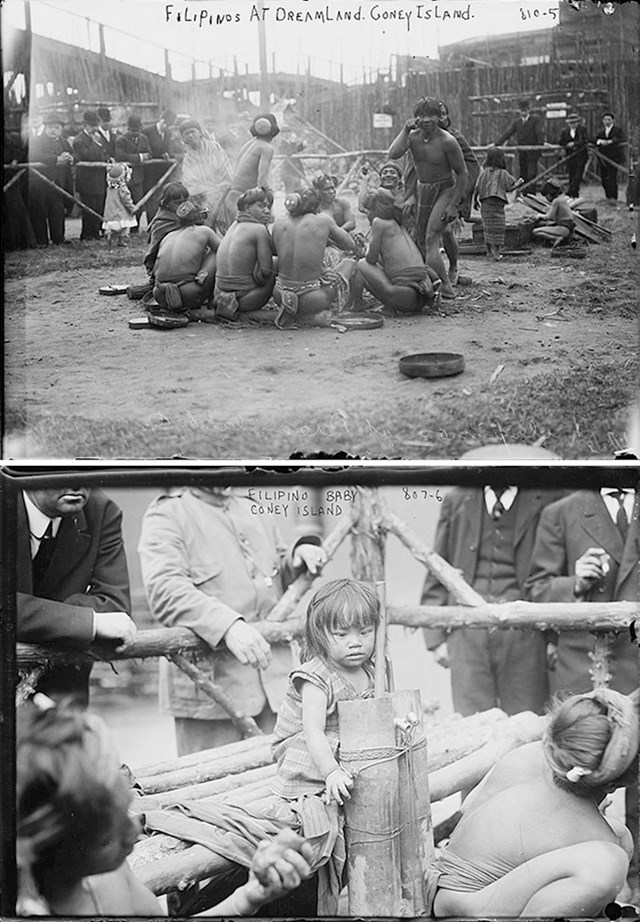 1300 Filipinaca iz različitih plemena dovedeni su u SAD, od strane američke vlade, kako bi bili izloženi u zoološkom vrtu u St. Louisu. Godina je 1904.