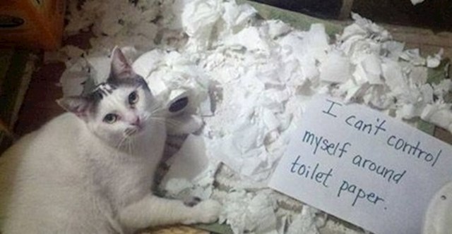 Kada vidim WC papir, izgubim kontrolu