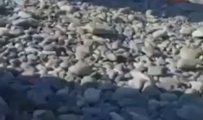 Netko je na Jadranu snimio tipa koji se prenuo iz sna i nije mogao pronaći mobitel; morate pogledati
