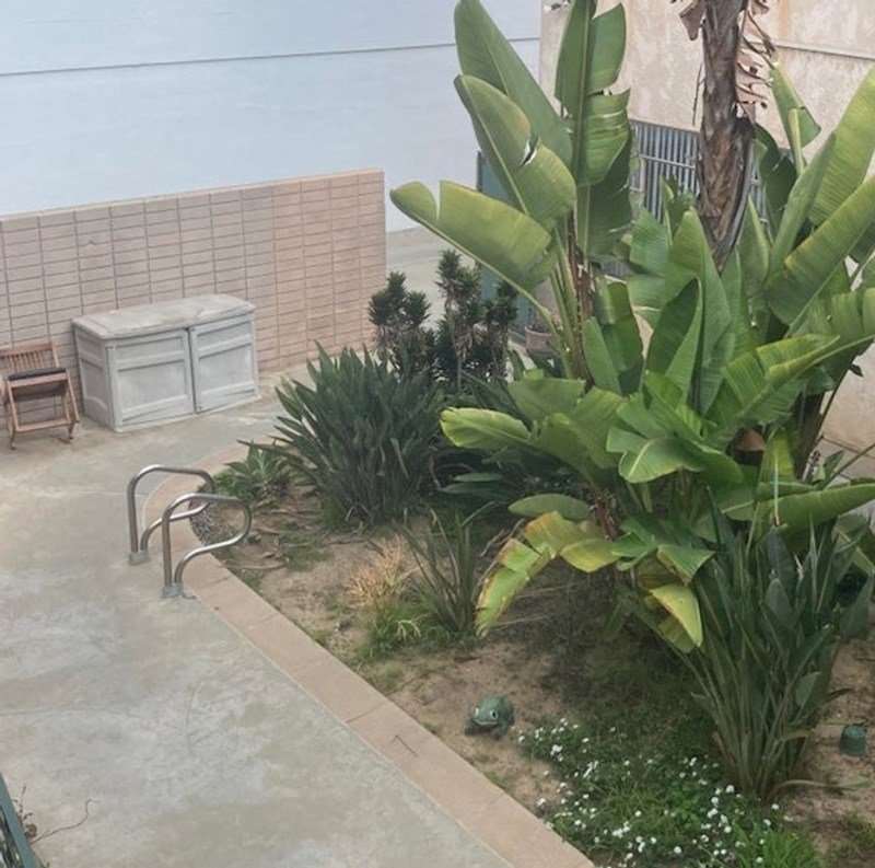 Netko je od bazena napravio pravi mali raj