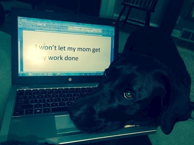 Ne dopuštam mami da radi!