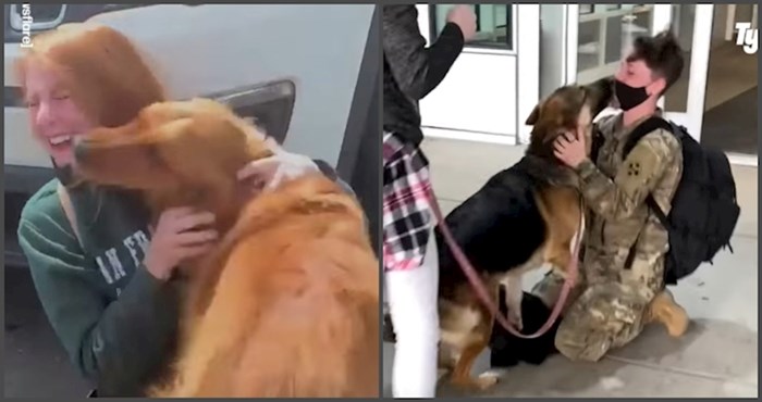 Psi koji se nakon dugo vremena ponovno sastaju sa svojim vlasnicima su sve što danas trebate vidjeti