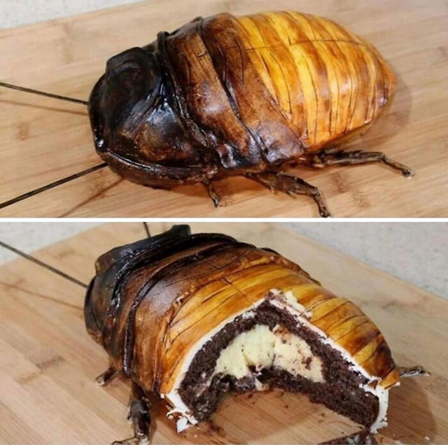 8. Torta u obliku žohara