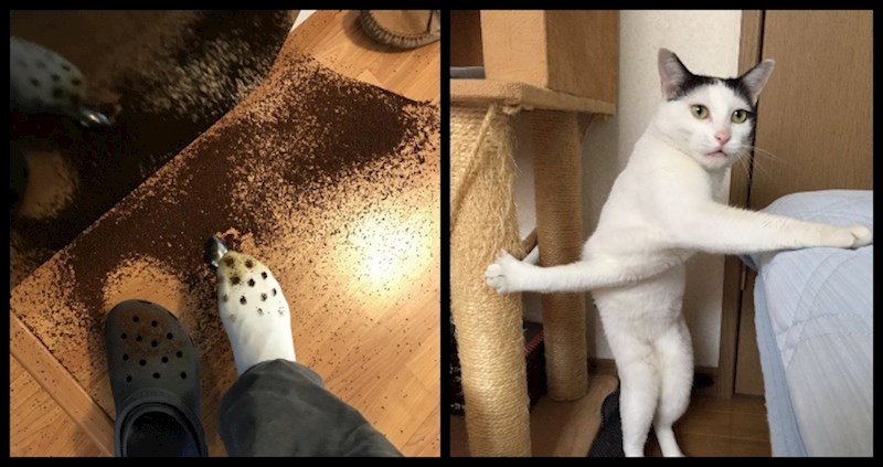 16 ljudi koji su mislili da će ovo biti sasvim običan dan, a onda se dogodio urnebesan preokret