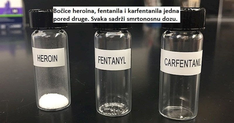 18 zanimljivih slika usporedbi koje će vam dati potpuno novu perspektivu