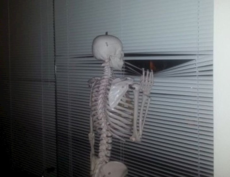 Kada naručiš dostavu pizze u 20:00, a već je 20:01