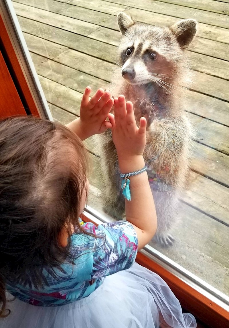 Moja nećakinja je pronašla novog prijatelja