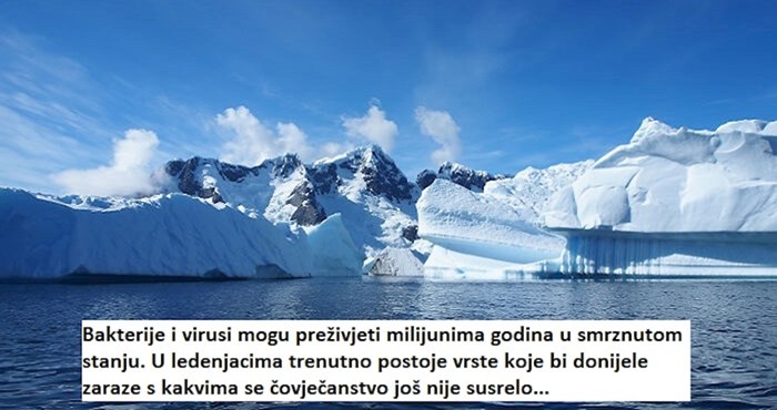 10 zastrašujućih činjenica o životu na Zemlji koje bi vas mogle proganjati noću
