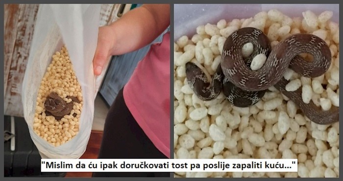 17 ljudi koji bi voljeli da mogu zaboraviti ovaj dan, ali pamtit će ga zauvijek