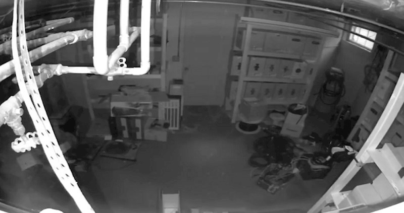 Pogledajte kako je tip nasamario SWAT-ovce koji su mu pretresali kuću; scena je kao iz crtića