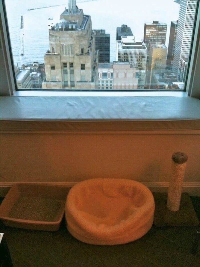 Rezervirao sam hotel i pitao jesu li dopušteni kućni ljubimci. Dočekalo me ovo!