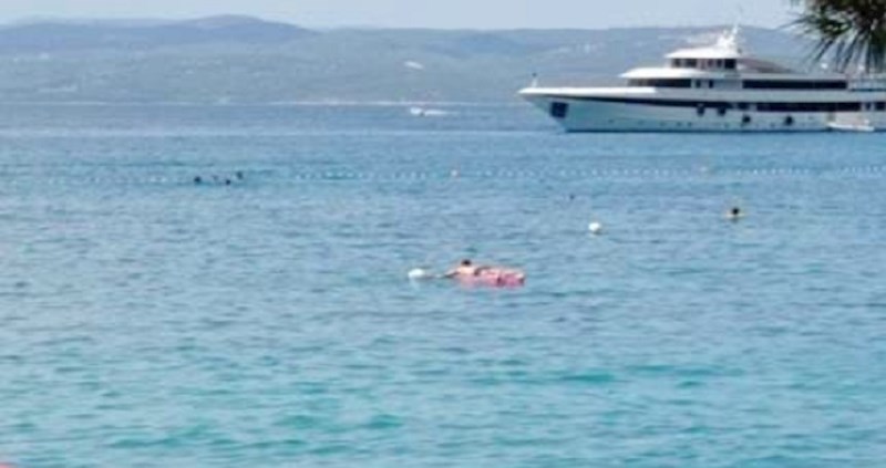 Na obali muku muče s jednom pticom- svake godine je sve veća i više ljudi je potrebno da ju savlada!