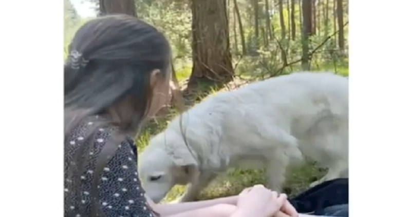 Mislili su da se rađa prijateljstvo, ali pogledajte zašto im je pas zaista prišao; presmiješan je!