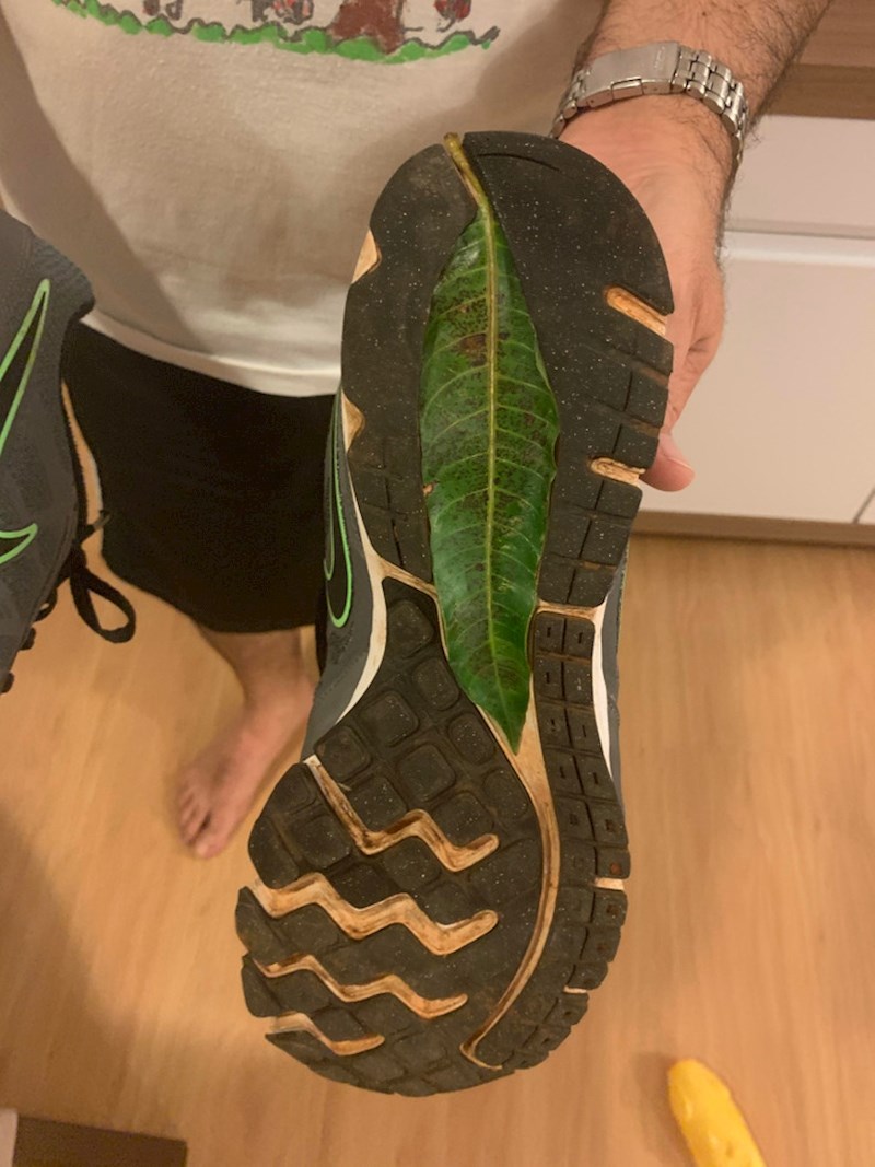 Ovaj list se savršeno uklopio u prorez na dnu tenisica