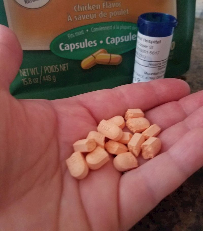 5. Veterinar je podijelio kapsule na polovine da se slučajno ne bismo zbunili i dali psu veću dozu od dozvoljene