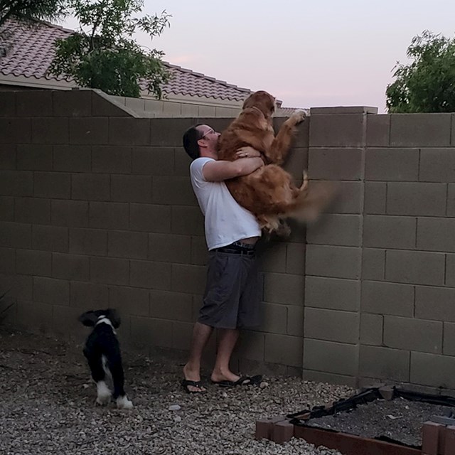 Svaki dan se pobrine da se njegovi psi jave susjedima s druge strane ograde!