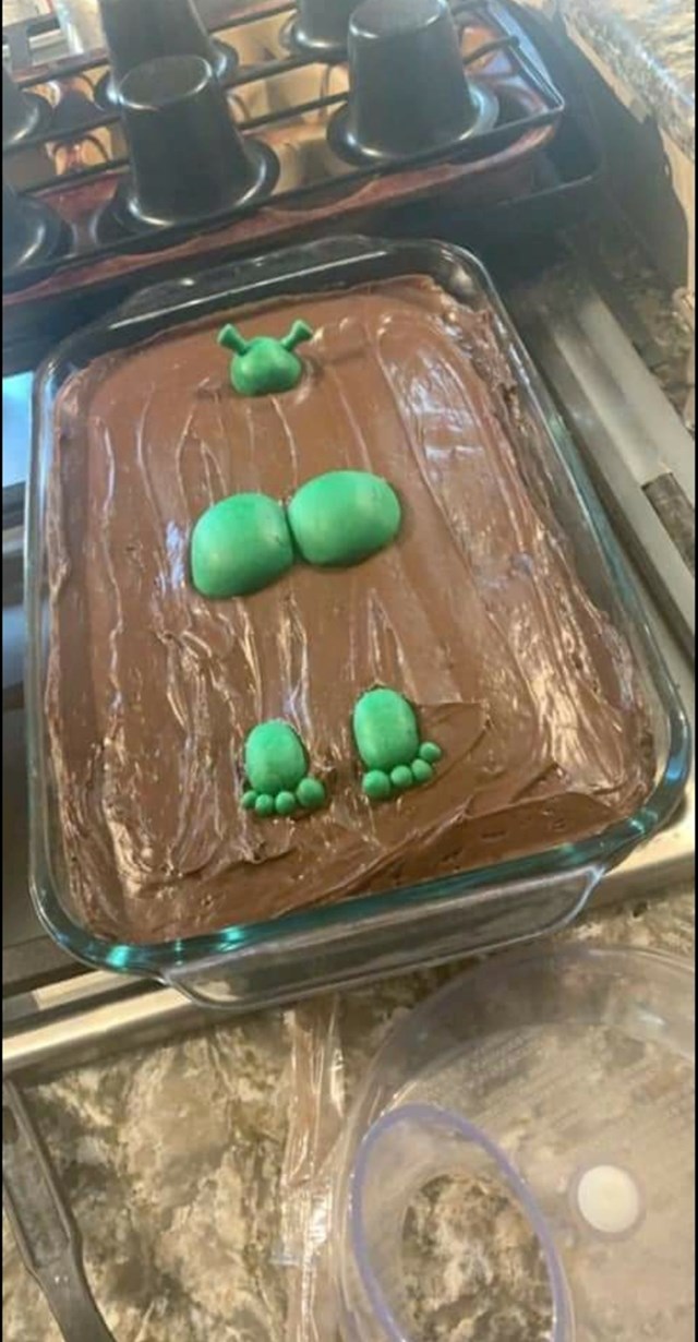 11. Tema jednog rođendana je bio Shrek. Nitko nije očekivao ovakvu tortu!