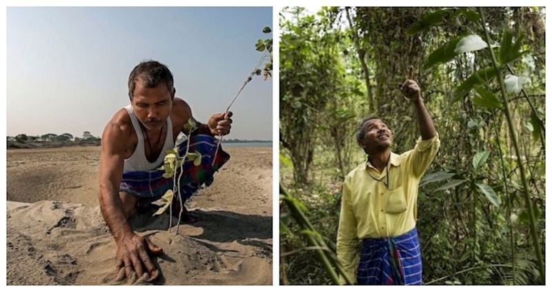Jadav Payeng je ekolog koji je proveo 37 godina sadeći drveće kako bi stvorio šumu od 550 hektara