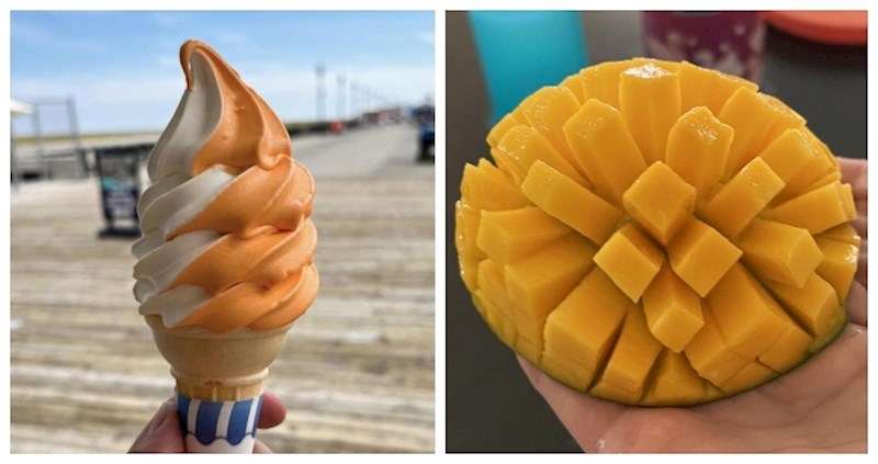 17 ljudi čiji se običan dan pretvorio u čisto zadovoljstvo nakon ovih prizora savršenog sklada